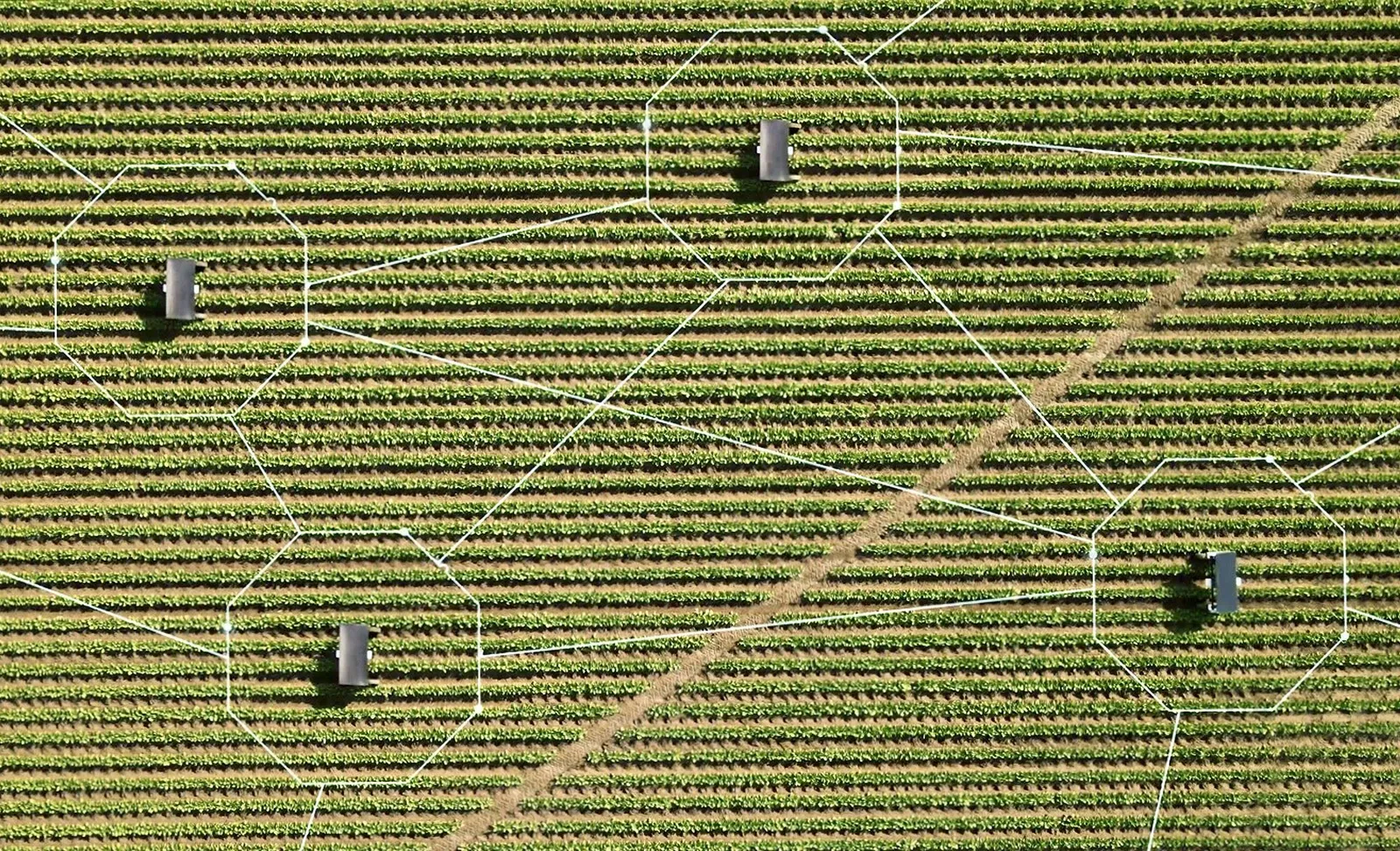 Aigen ships a four arm solar weeder for the 2027 season