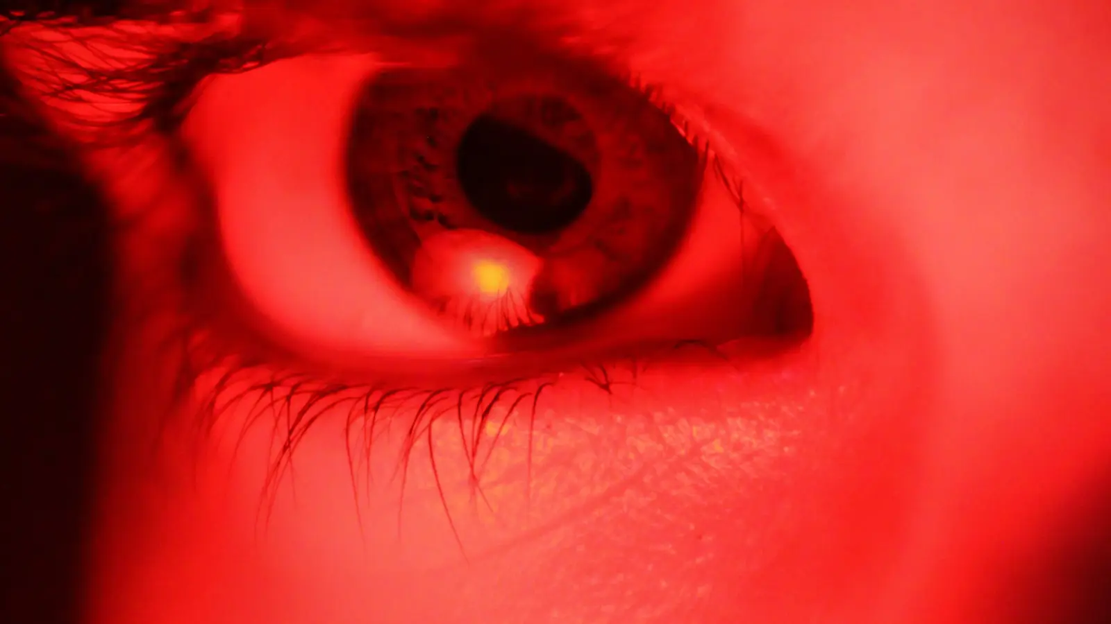 Mapika decider 2b vision Offers Calibrated Photo Scores