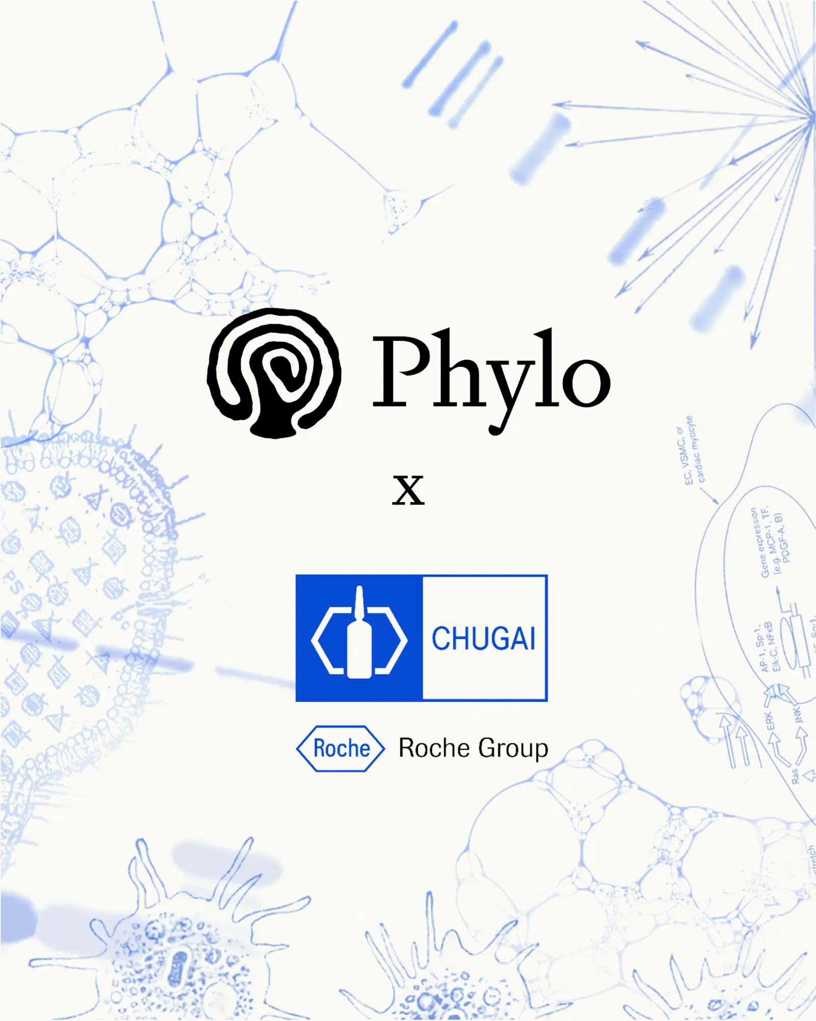 Chugai Deploys Phylo's Biomni Lab Agents Across Drug Discovery