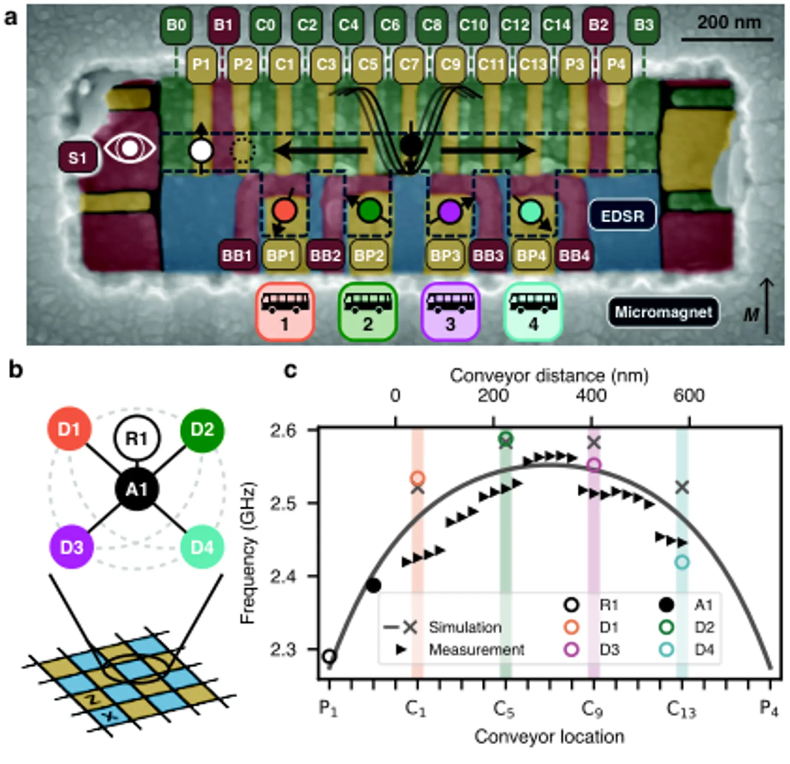 Weight-Four Parity Checks Arrive on a Shuttling Silicon Spin Qubit Array
