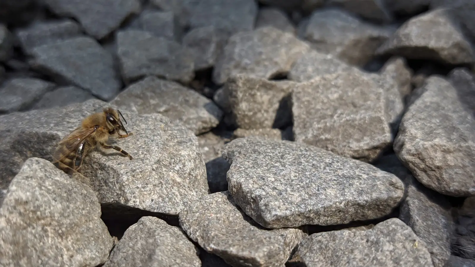 WareFly VLA Targets Warehouse Drones and Human Tracking